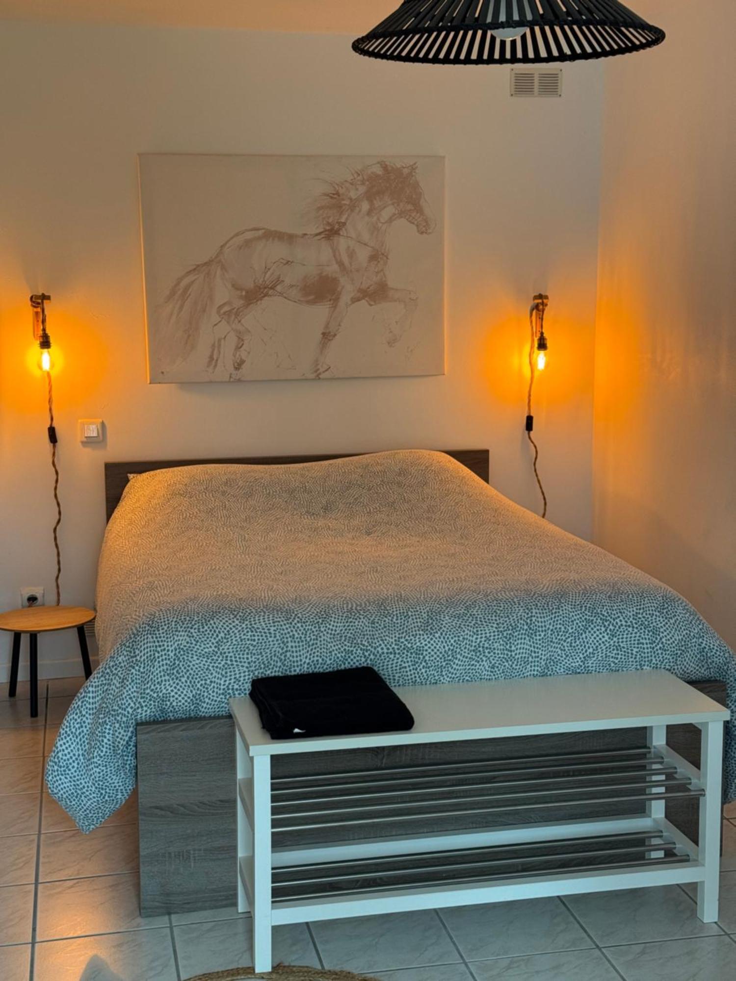 Au Chevaleins Appartement Chaleins